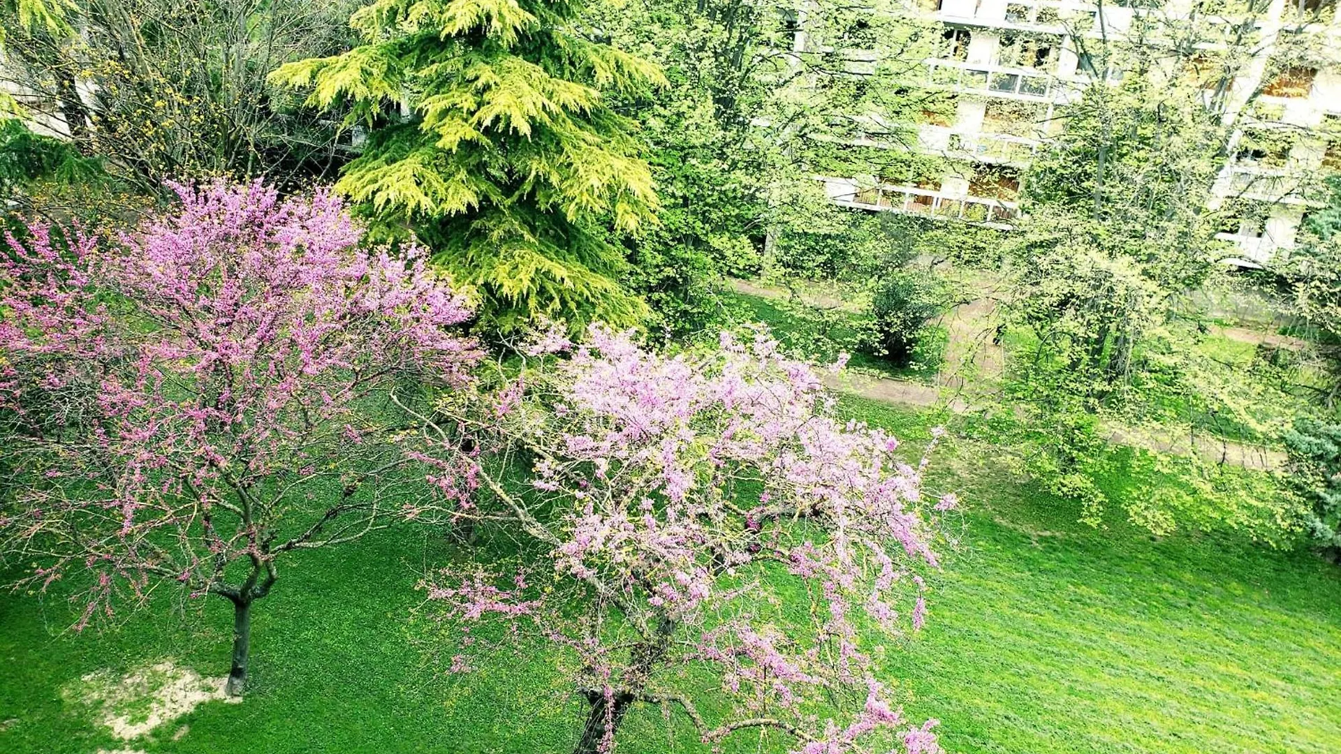 Suite From 1 To 6 - Bathtubs In Rooms - Air Conditioned Residential Appartement - Wifi - Kitchen - Laundry - Parking Apartment Avignon
